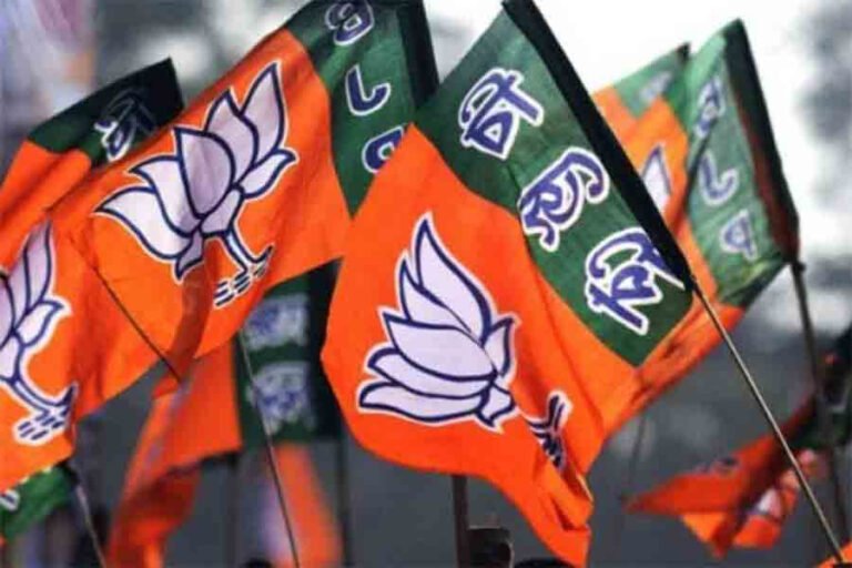 বিজেপির ঘরেই নাকি লুকিয়ে ভুয়ো ভোটার! অন্যদিকে সরকারি BLO প্রাক্তন তৃণমূল প্রধান, শান্তিপুর নৃসিংহপুরে, বিজেপি তৃণমূল কাজিয়া