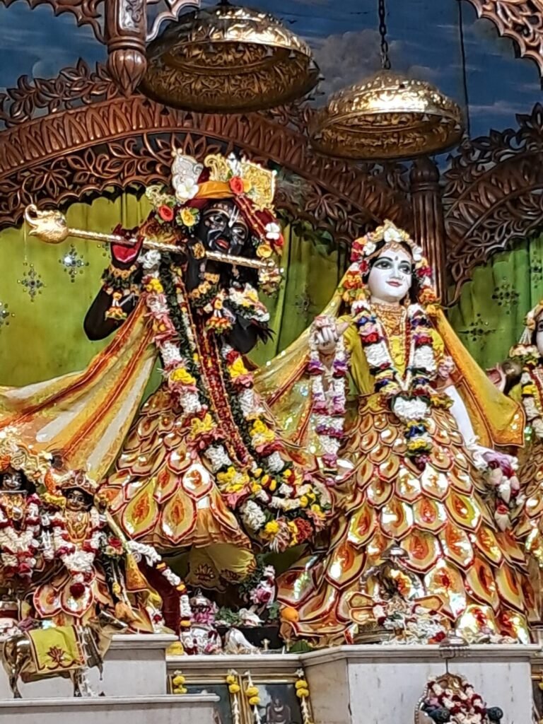 মায়াপুর ইসকনে মহাসমার হয়ে অনুষ্ঠিত হচ্ছে রাধাকৃষ্ণের ঝুলন উৎসব